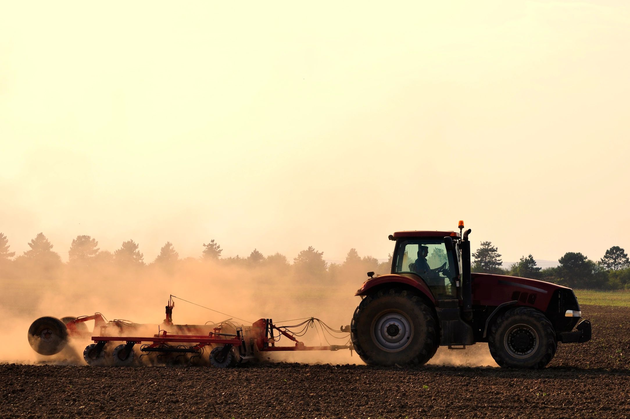 Migrant Workers and their Union in Saskatchewan